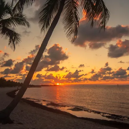 Truman Key West Quarto foto